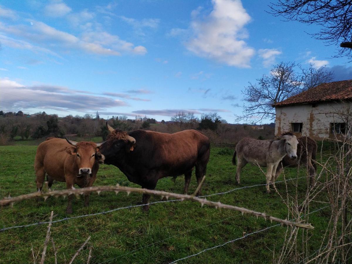 منزل الضيف Casa Pepin - Sagasta Rural اوفيدو المظهر الخارجي الصورة